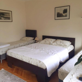 Guesthouse Gavrilović 28 A